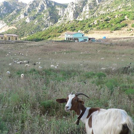 Agriturismo Sa Rocca Iglesias Bagian luar foto