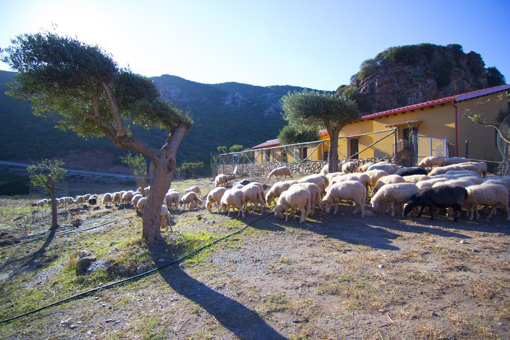 Agriturismo Sa Rocca Iglesias Bagian luar foto